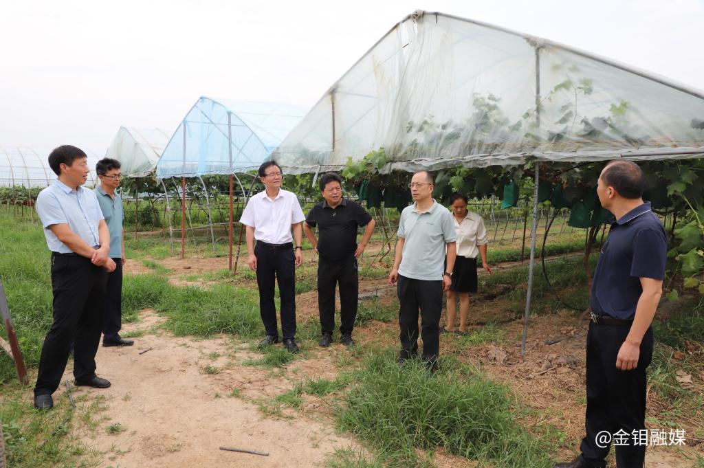 20240807-金鉬集團(tuán)紀(jì)委調(diào)研渭南合力產(chǎn)業(yè)幫扶項目.JPG